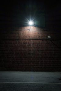Commercial 2 security light